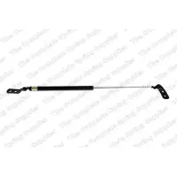 LESJÖFORS 8155426 Gasveer achterklep