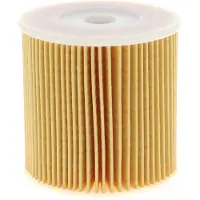 VAICO V30-1022 Brandstoffilter
