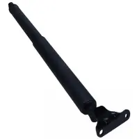 MAXGEAR 12-2366 Gasveer achterklep
