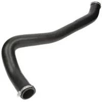 THERMOTEC Slang, luchtRadiator DCX034TT