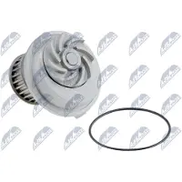 NTY CPW-PL-023 Waterpomp