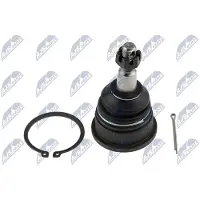 NTY Fuseekogel ZSD-CH-033