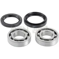 SNR R181.06 Wiellagerset