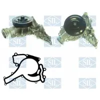 Saleri SIL PA1387 Waterpomp