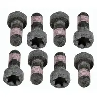 SACHS Schroevenset vliegwiel 1874 000 050