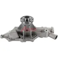 AIRTEX 9700 Waterpomp