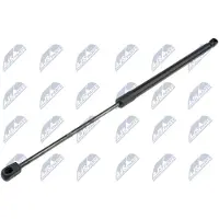 NTY AE-DW-016 Gasveer achterklep