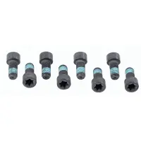 SACHS Schroevenset vliegwiel 1874 000 032