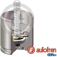 AUTOFREN SEINSA D025682K Zuiger, remklauw