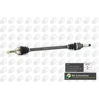 BGA DS1420R Aandrijfas