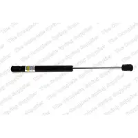 LESJÖFORS 8162030 Gasveer achterklep