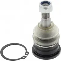 MAPCO 51564 Fuseekogel