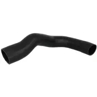 THERMOTEC Slang, luchtRadiator DCX033TT