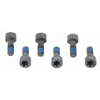 SACHS 1874 000 041 Schroevenset, vliegwiel