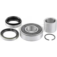 SNR R141.38 Wiellagerset