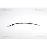 TRISCAN 8150 16230 Remslang