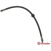 Brembo T 68 037 Remslang