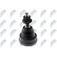 NTY Fuseekogel ZST-CH-004A