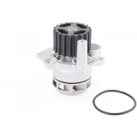 VAICO V10-50060 Waterpomp