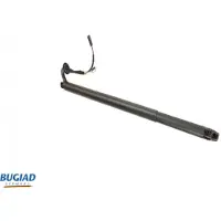 BUGIAD BRD50734 Gasveer achterklep