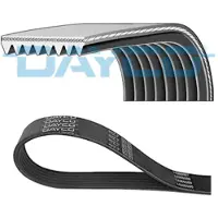 DAYCO 8PK2095HD Multiriem