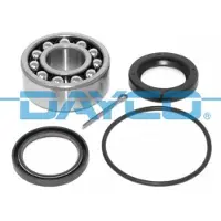 DAYCO KWD1381 Wiellagerset
