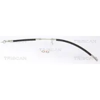 TRISCAN 8150 13281 Remslang