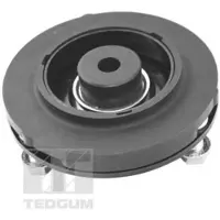 TEDGUM Veerpootlager TED47590