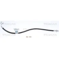 TRISCAN 8150 80309 Remslang