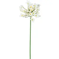 Easyplants | Kunstbloem Agapanthus 77 cm wit | Zijde | Nepbloemen | wit | Onderhoudsvrij | Kant-en-klaar