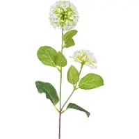 Easyplants | Kunstbloem Sneeuwbal/Viburnum 70 cm groen/wit | Zijde | Nepbloemen | wit | Onderhoudsvrij | Kant-en-klaar