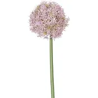 Easyplants | Kunstbloem Allium Groot 80 cm paars | Zijde | Nepbloemen | paars | Onderhoudsvrij | Kant-en-klaar