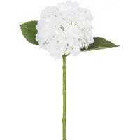 Easyplants | Kunsthortensia Annabelle Real Touch Wit 55cm | Zijde | Nepbloemen | wit | Onderhoudsvrij | Kant-en-klaar