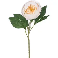 Easyplants | Kunstpioen Real Touch Crème Wit 58cm | Zijde | Nepbloemen | wit | Onderhoudsvrij | Kant-en-klaar