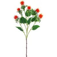 Easyplants | Kunstbloem Saffloer 79 cm oranje | Zijde | Nepbloemen | oranje | Onderhoudsvrij | Kant-en-klaar