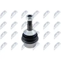NTY Fuseekogel ZST-CH-009