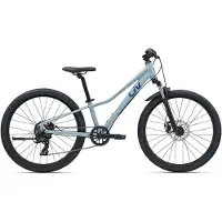 Liv Tempt 24´´ Disc Tourney 2026 Fiets