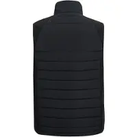 Regatta Heren Gilet met volledige rits (Zwart/Ash)