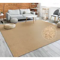 Paco Home Vloerkleed Woonkamer Effen Eenvoudig En Modern Laagpolig, Versch. Afmetingen Kleuren 80x150 cm