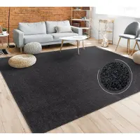 Paco Home Vloerkleed Woonkamer Effen Eenvoudig En Modern Laagpolig, Versch. Afmetingen Kleuren 240x340 cm