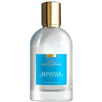 Comptoir Sud Pacifique Les Eaux de Voyage Souffle des Indes Eau de Parfum - 100ml