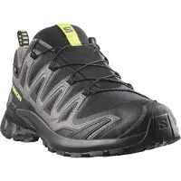 Salomon Loopschoen 'XA Pro 3D V9' donkergrijs / zwart