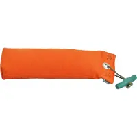 Romney's Canvas Dummy