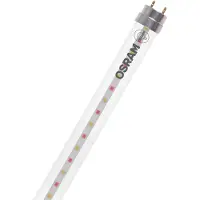Ledvance LED-plantenlamp LED TUBE T8 18 EM FLUORA 600 mm 6.6W 604.00 mm G13 6.6 W Warmwit Buis 1 stuk(s)