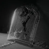 Konkurrent Visible Cloaks - Paradessence (CD)