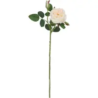 Maxifleur Kunstplanten Kunst Rozentak Austin 52cm Creme