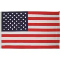 MFH - Max Fuchs Vlag USA (Verenigde Staten) - Polyester - 90 x 150 Centimeter - Verstevigingsband - Metalen Ringen
