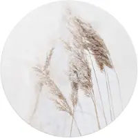 Reinders Plexiglasschilderij Pampasgras - Ø 50 - Acrylglas -