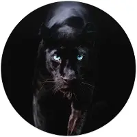 Reinders Plexiglasschilderij Zwarte Panter - Ø 50 - Acrylglas -