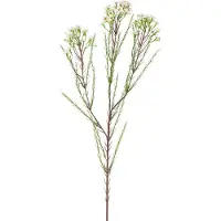 Easyplants | Kunsttak Waxflower 78 cm creme | Zijde | Nepbloemen | creme | Onderhoudsvrij | Kant-en-klaar